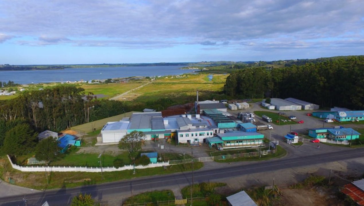 /local/historica-planta-chilolac-cierra-en-ancud-tras-56-anos-y-afecta-a-mas-de