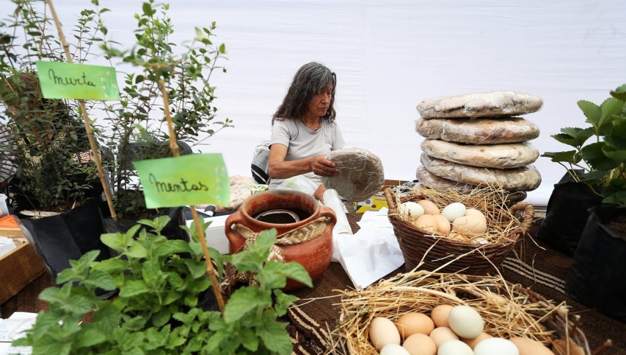 /gobierno-pone-fin-al-programa-mujeres-rurales-despues-de-34-anos