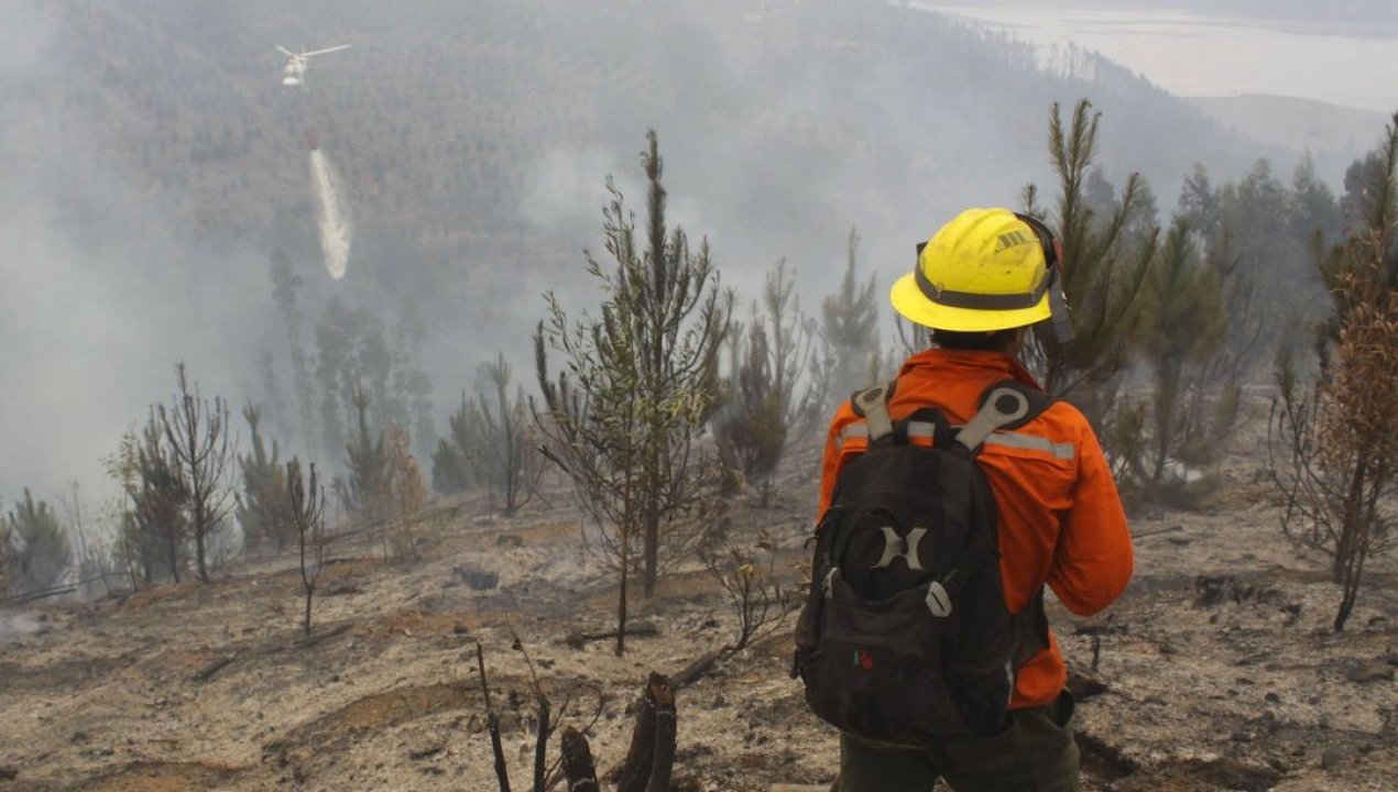 /actualidad/judicial/fijan-para-noviembre-cierre-de-investigacion-por-megaincendio-en-santa-juana