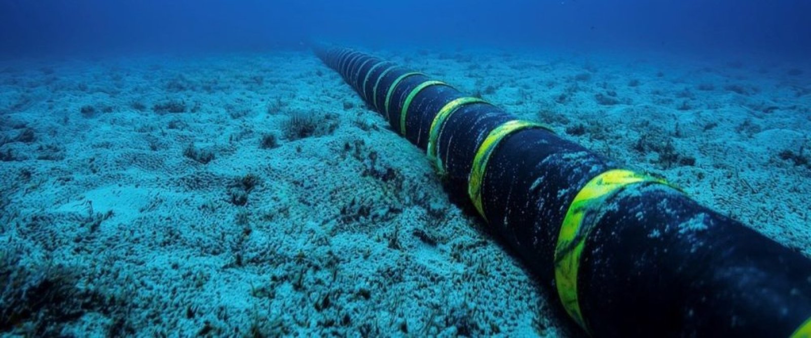 “Cable chino” se mantiene en “análisis” por el Gobierno pese a polémica con EEUU